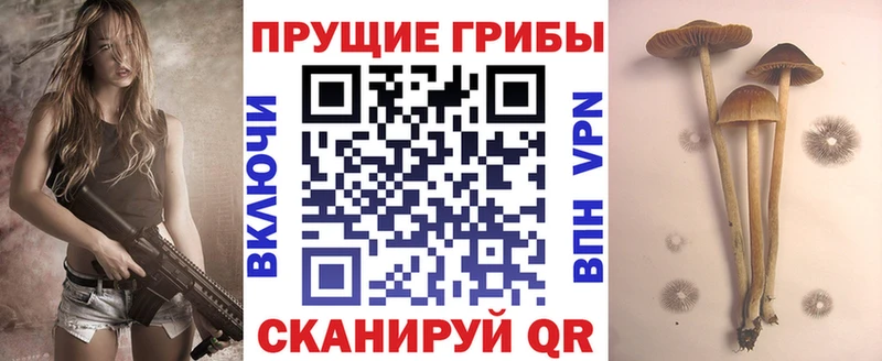 хочу наркоту  Хилок  Псилоцибиновые грибы мухоморы 